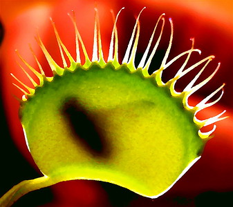  > FEED ME
Photo by Elyse Hoyt ©Thru Her Eyes Images™