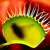 SmugMug > all-time keyword > feed > FEED ME
Photo by Elyse Hoyt ©Thru Her Eyes Images™